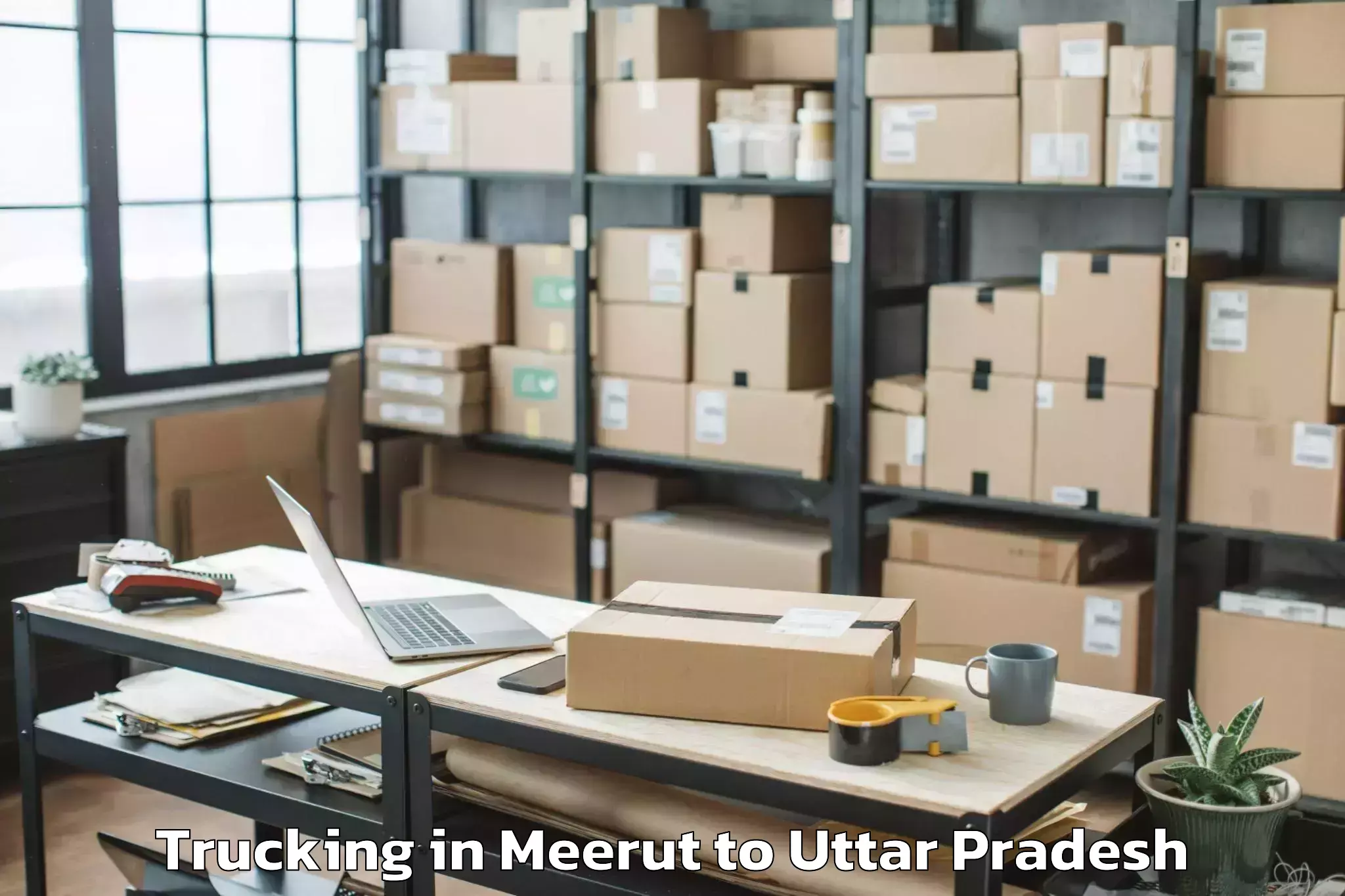 Top Meerut to Mursan Trucking Available